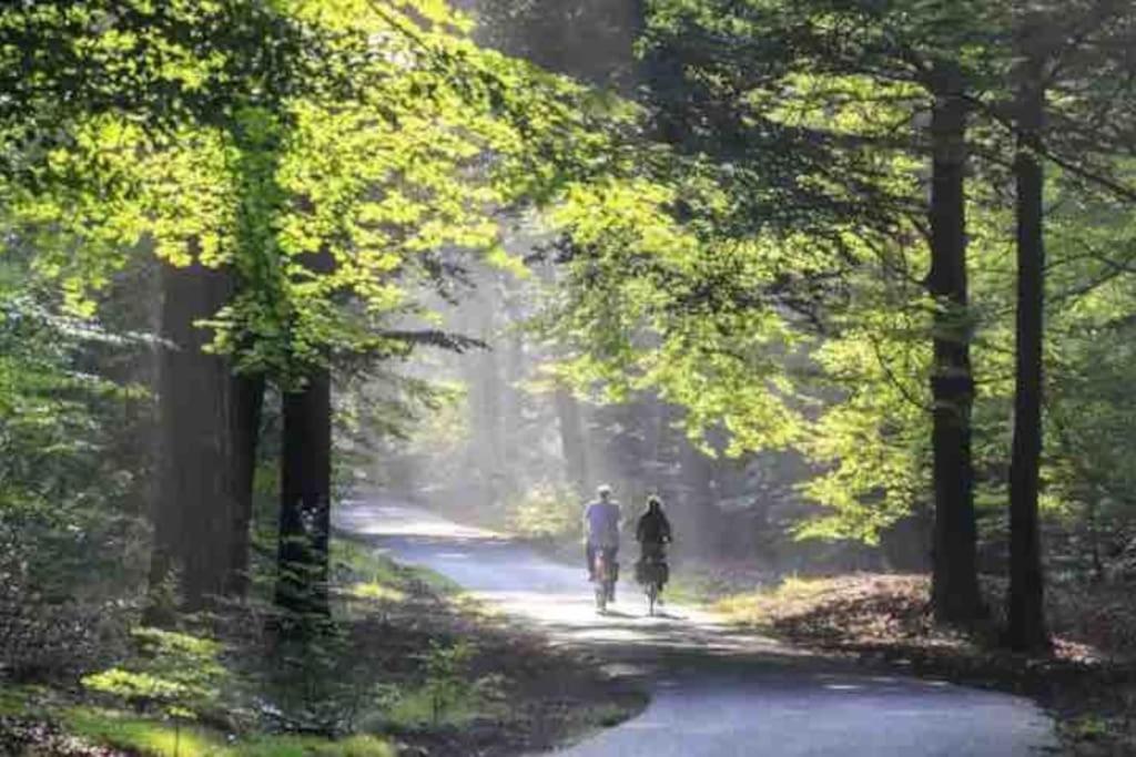 Chalet Toetje Op De Veluwe 霍德鲁 外观 照片