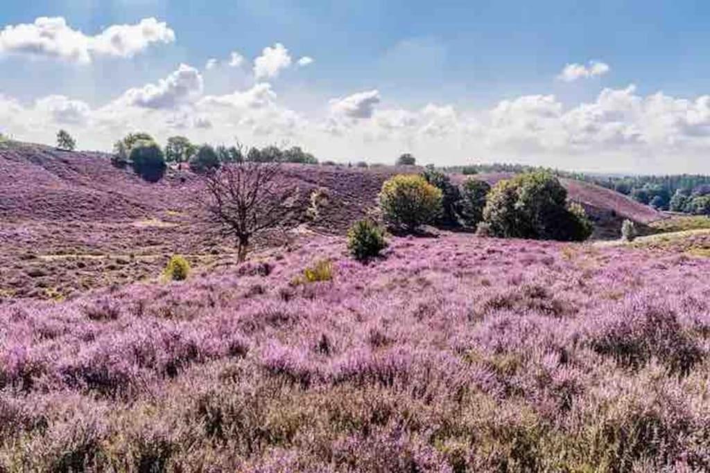 Chalet Toetje Op De Veluwe 霍德鲁 外观 照片